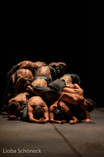 Valley of the Humming Birds | Aaron Martin - Dag Rosenquist | HPI