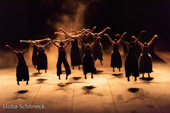 Valley of the Humming Birds | Aaron Martin - Dag Rosenquist | HP2