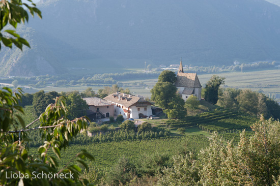 Blick von Montana auf Auer | Suedtirol
