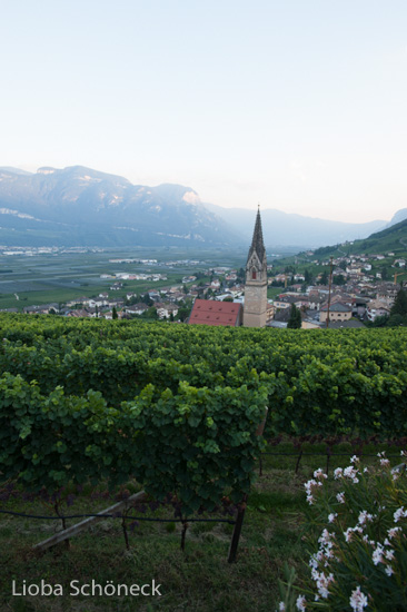 Tramin | 04.bis 09.09.2013