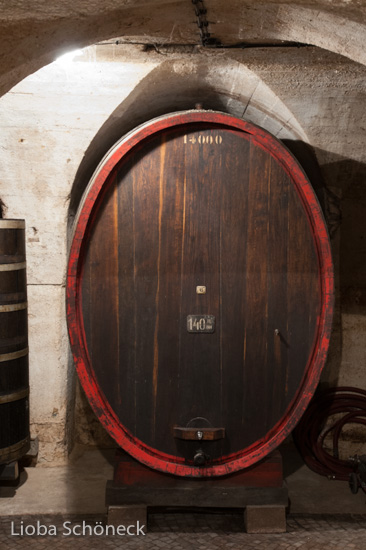 Weingut A. von Elzenbaum | Keller mit alten Weinfaessern