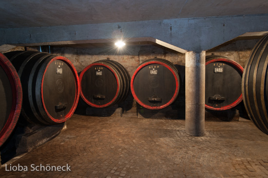 Weingut A. von Elzenbaum | Keller mit alten Weinfaessern