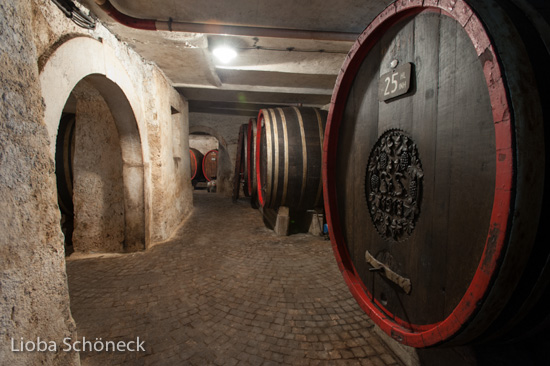 Weingut A. von Elzenbaum | Keller mit alten Weinfaessern