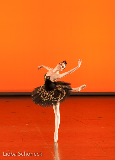 Ballettgala 2016 |  Mainfrankentheater Würzburg | 30.06.2016