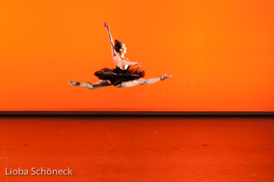 Ballettgala 2016 |  Mainfrankentheater Würzburg | 30.06.2016