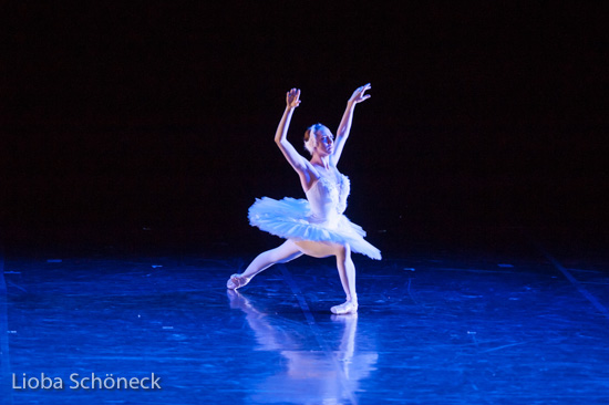 Ballettgala 2016 |  Mainfrankentheater Würzburg | 30.06.2016