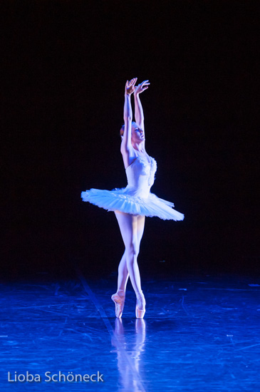 Ballettgala 2016 |  Mainfrankentheater Würzburg | 30.06.2016