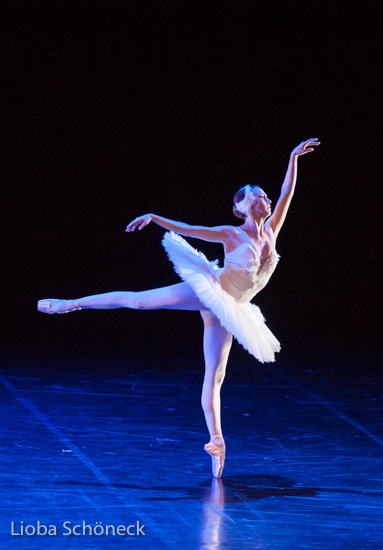 Ballettgala 2016 |  Mainfrankentheater Würzburg | 30.06.2016