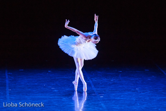 Ballettgala 2016 |  Mainfrankentheater Würzburg | 30.06.2016