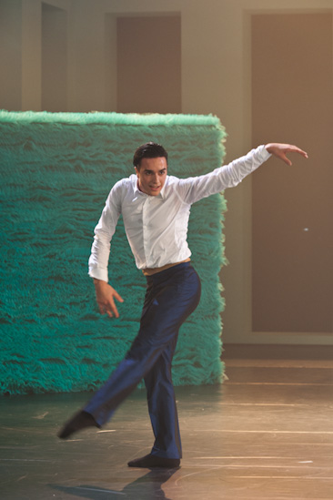 Dornröschen | HPI | 22.01.2013