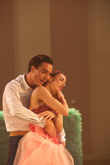 Dornröschen | HPI | 22.01.2013