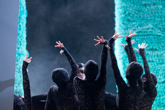 Dornröschen | HPI | 22.01.2013