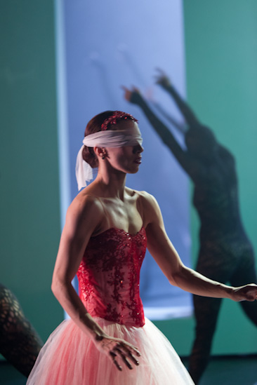 Dornröschen | HPI | 22.01.2013