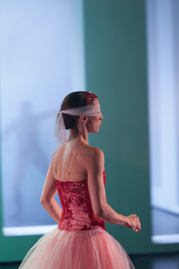 Dornröschen | HPI | 22.01.2013