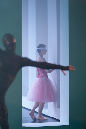 Dornröschen | HPI | 22.01.2013