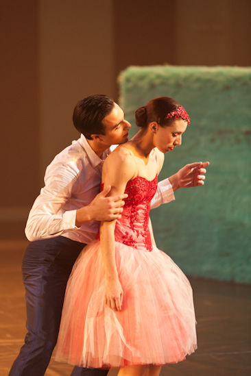 Dornröschen | HPI | 22.01.2013