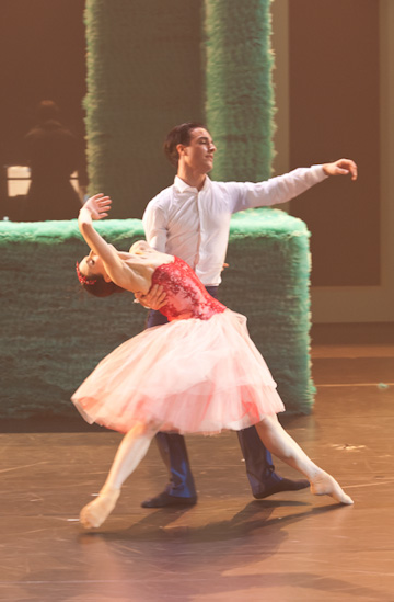 Dornröschen | HPI | 22.01.2013