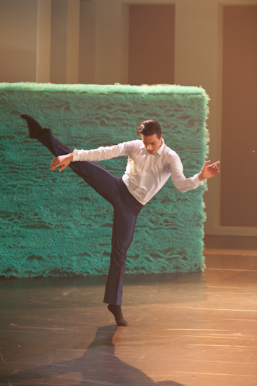 Dornröschen | HPI | 22.01.2013