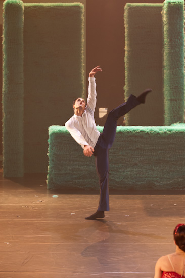 Dornröschen | HPI | 22.01.2013