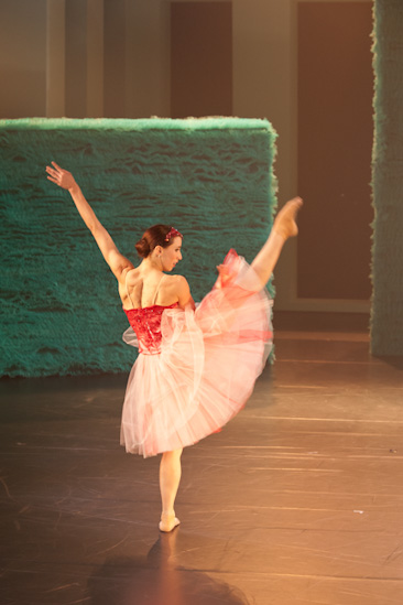 Dornröschen | HPI | 22.01.2013