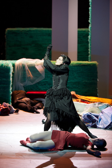 Dornröschen | HPII | 24.01.2013