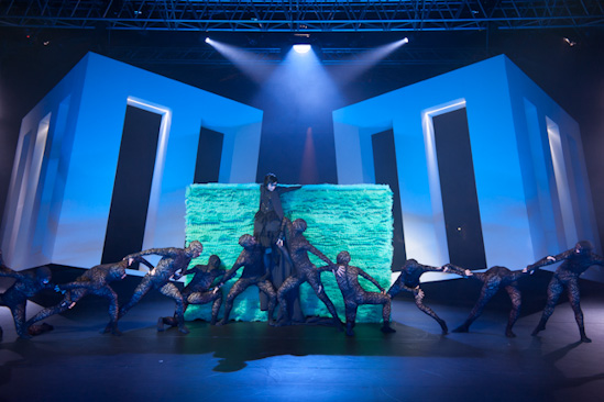 Dornröschen | HPII | 24.01.2013