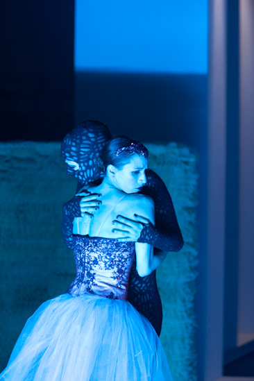 Dornröschen | HPII | 24.01.2013