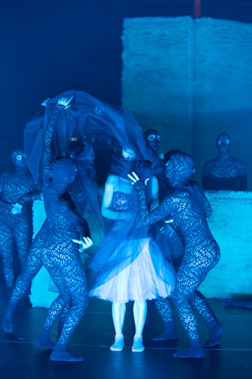 Dornröschen | HPII | 24.01.2013