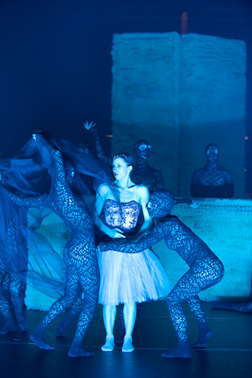 Dornröschen | HPII | 24.01.2013