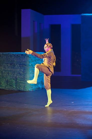 Dornröschen | HPII | 24.01.2013