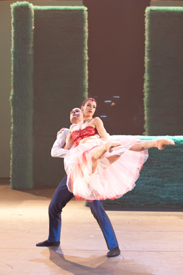 Dornröschen | HPII | 24.01.2013