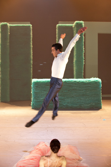 Dornröschen | HPII | 24.01.2013