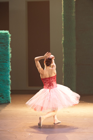 Dornröschen | HPII | 24.01.2013