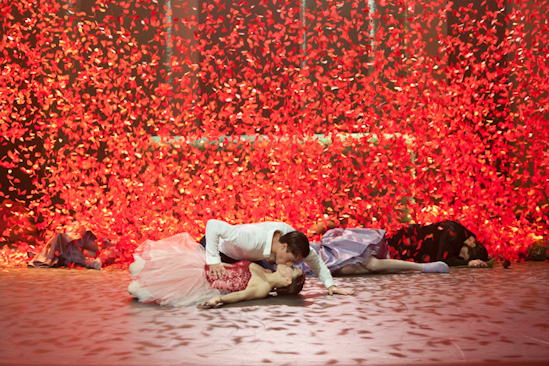 Dornröschen | GP | 25.01.2013