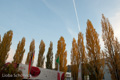 Fischer & Trezzer | Weine Italiens | Stuttgart
