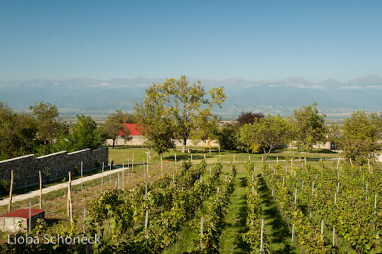 Georgien | 10.09. bis 25.09.2011