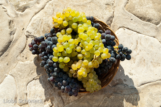 Georgien | 10.09. bis 25.09.2011