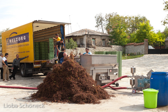 Georgien | 10.09. bis 25.09.2011