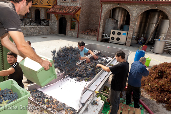 Georgien | 10.09. bis 25.09.2011