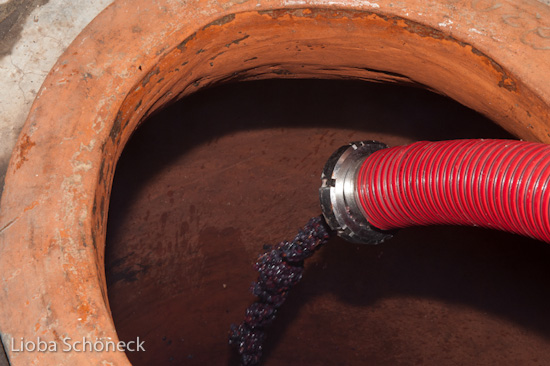 Georgien | 10.09. bis 25.09.2011