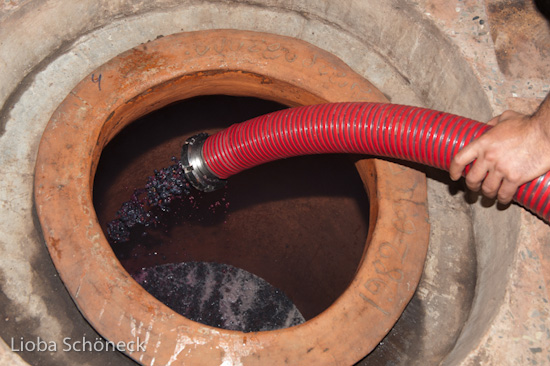 Georgien | 10.09. bis 25.09.2011