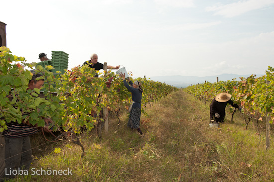 Georgien | 10.09. bis 25.09.2011