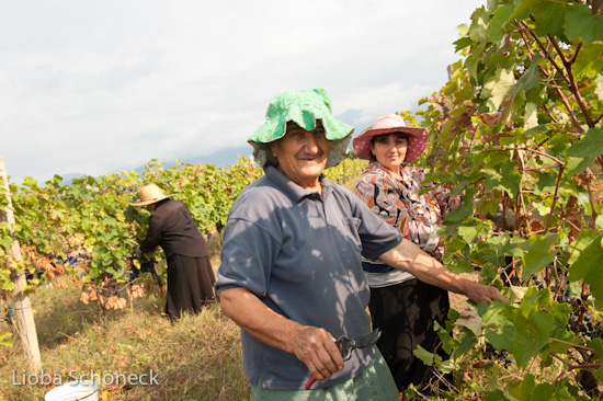 Georgien | 10.09. bis 25.09.2011