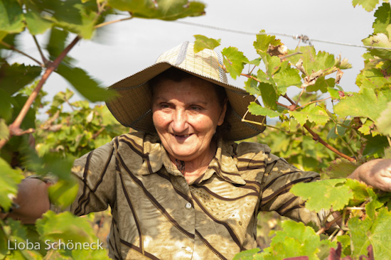 Georgien | 10.09. bis 25.09.2011