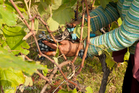 Georgien | 10.09. bis 25.09.2011