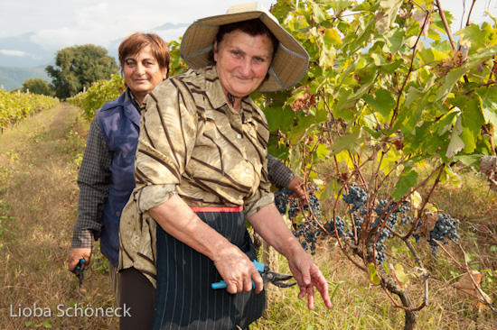 Georgien | 10.09. bis 25.09.2011