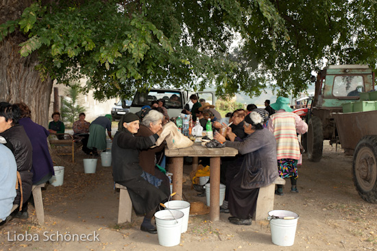 Georgien | 10.09. bis 25.09.2011