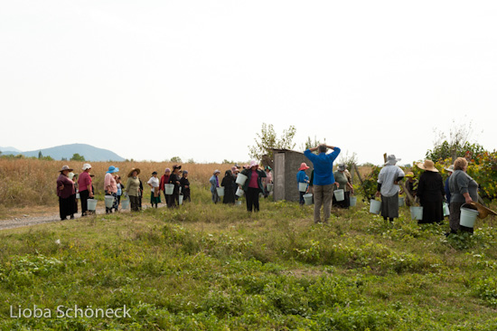 Georgien | 10.09. bis 25.09.2011