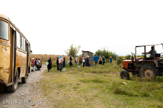 Georgien | 10.09. bis 25.09.2011