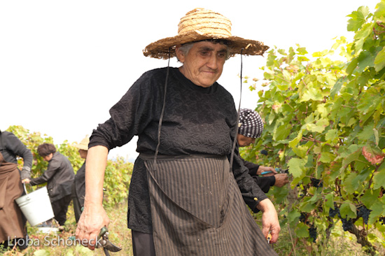 Georgien | 10.09. bis 25.09.2011